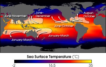 Global map of hurricane formation timing based on warm sea surface temperatures